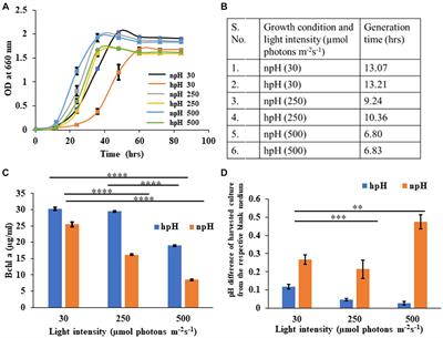 Differential stability of bacterial photosynthetic apparatus of Rhodobacter alkalitolerans strain JA916T under alkaline and light environment